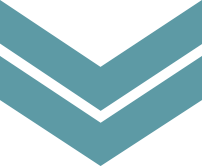 chevron-down-teal-light