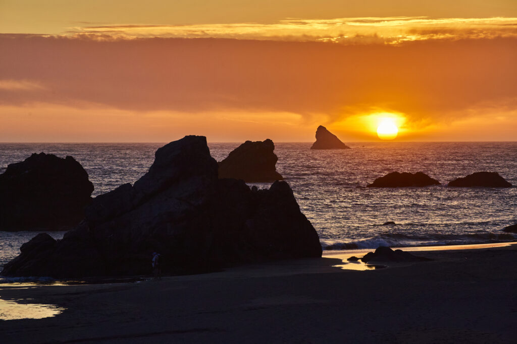 Brookings-OR_dreamstime_m_323690098