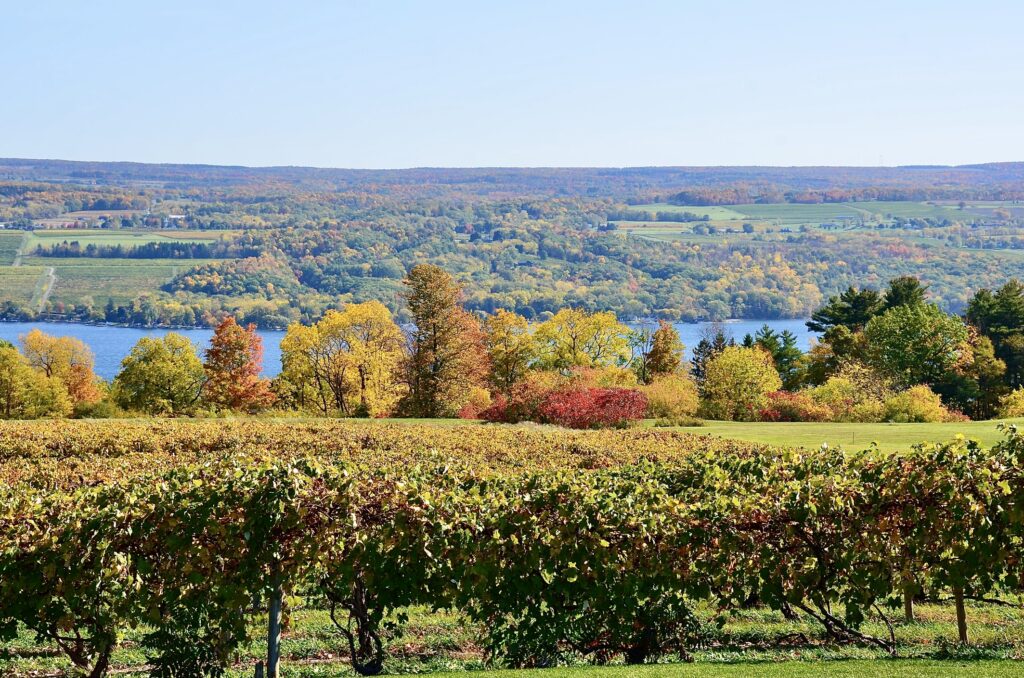 Finger-Lakes-NY_dreamstime_m_203298665