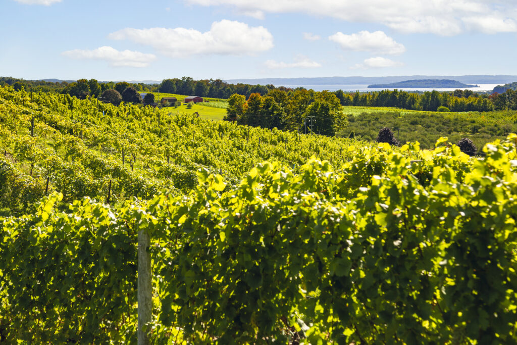 Traverse-City-MI_dreamstime_m_358835970