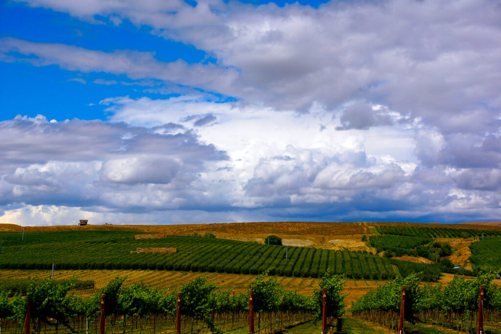 Yakima-Valley_dreamstime_m_92842469